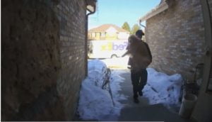 Read more about the article A lost dog was returned to his home thanks to FedEx delivery.