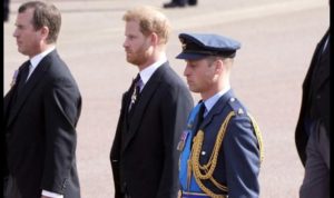 Read more about the article William and Harry:Reunited behind the coffin of Elizabeth II